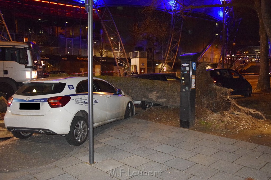 Baum auf PKWs Koeln Mitte Rheinuferstr Goldgasse P012.JPG - Miklos Laubert